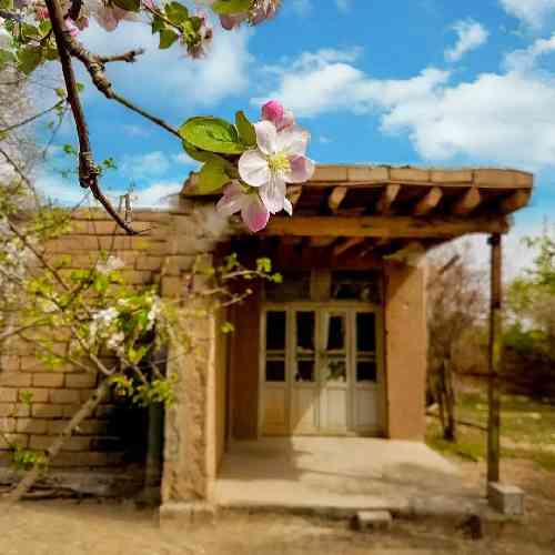 رامین مهری ای یار دانه دانه عشق منی دیوانه